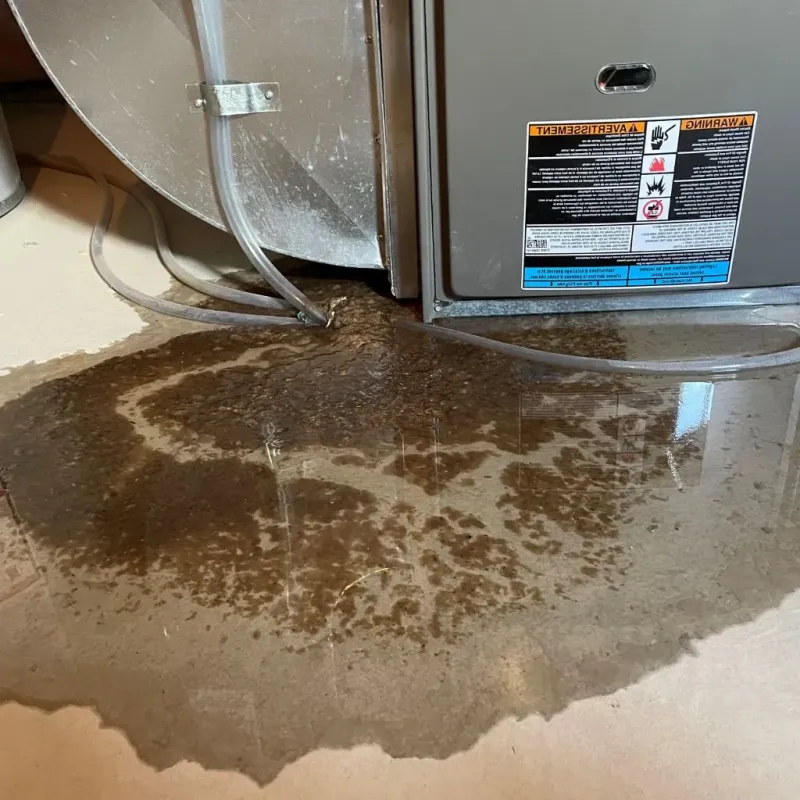 Pipe Burst and Leak Restoration in Trexlertown, PA