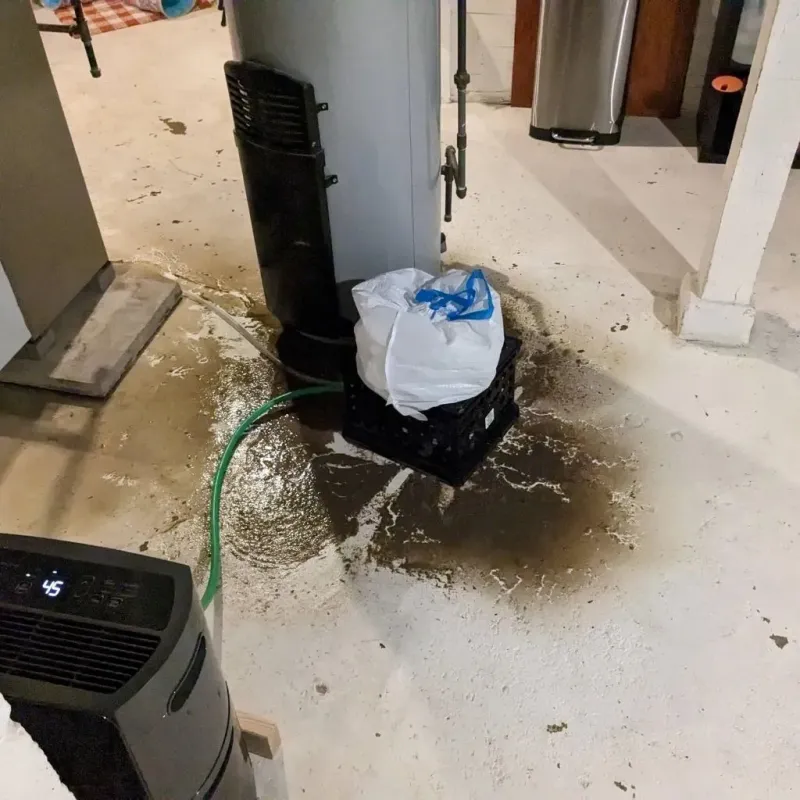 Sewage Backup Cleanup Service in Trexlertown, PA